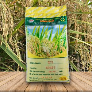 Giống Lúa BĐR57