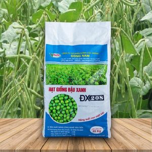 Giống Đậu Xanh ĐX 208